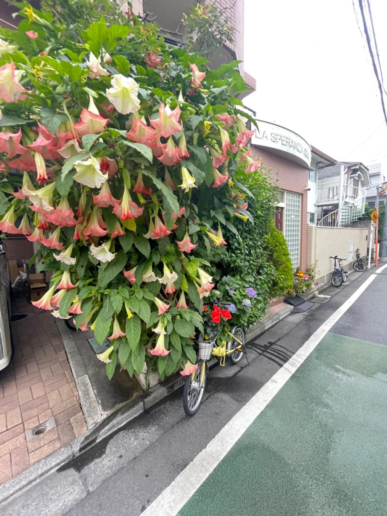 新宿庭院の屋-Shinjuku Garden Home -28 Square Meters King Size Bed Garden Room Tokyo prefektur Exteriör bild