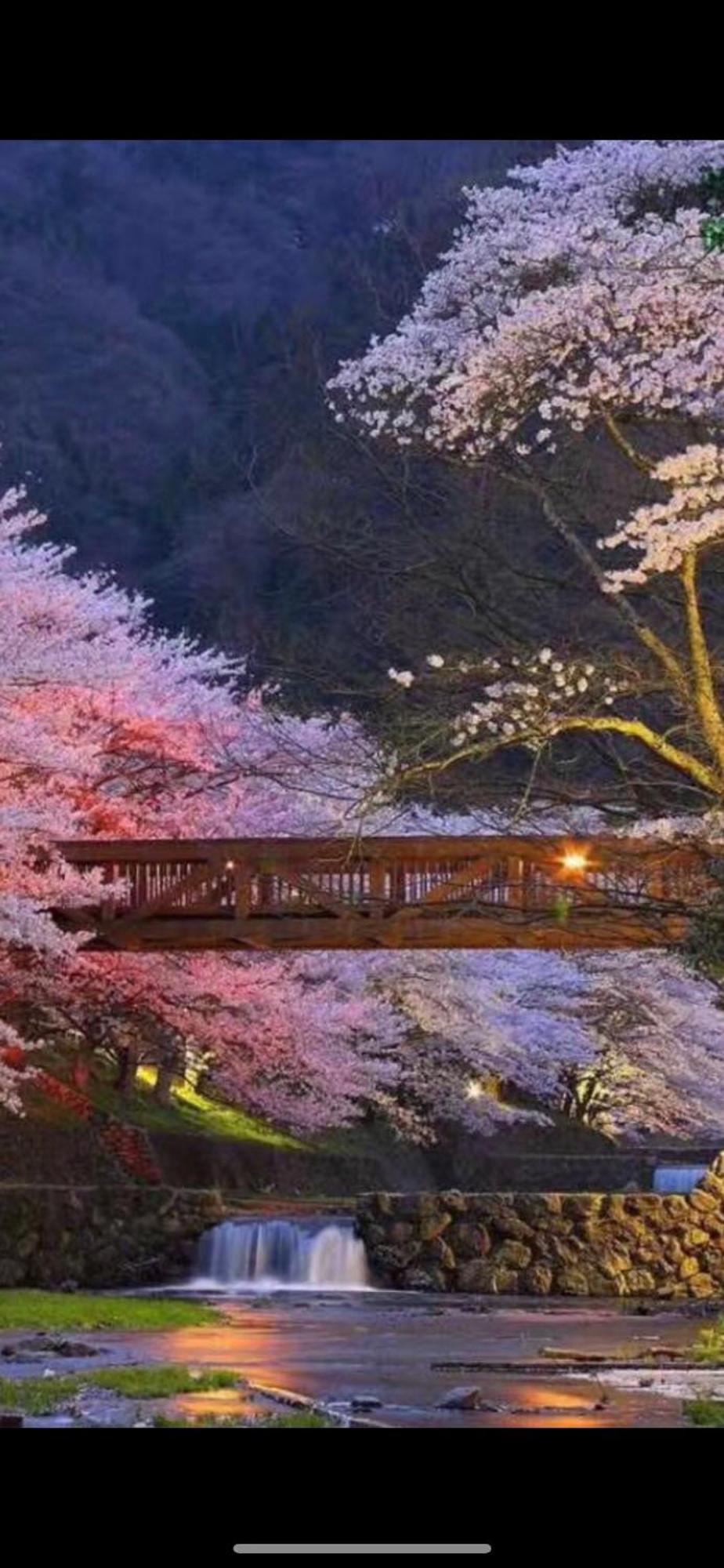 新宿庭院の屋-Shinjuku Garden Home -28 Square Meters King Size Bed Garden Room Tokyo prefektur Exteriör bild