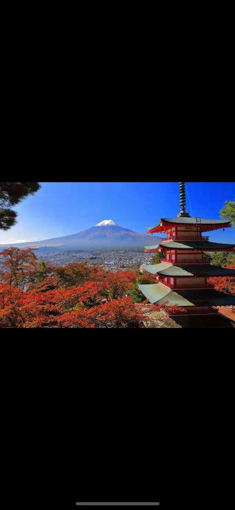 新宿庭院の屋-Shinjuku Garden Home -28 Square Meters King Size Bed Garden Room Tokyo prefektur Exteriör bild